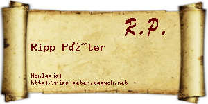 Ripp Péter névjegykártya